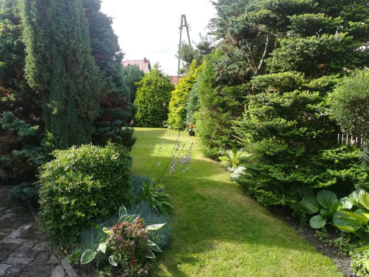 Goscinne Kamako Homestay Dzwirzyno