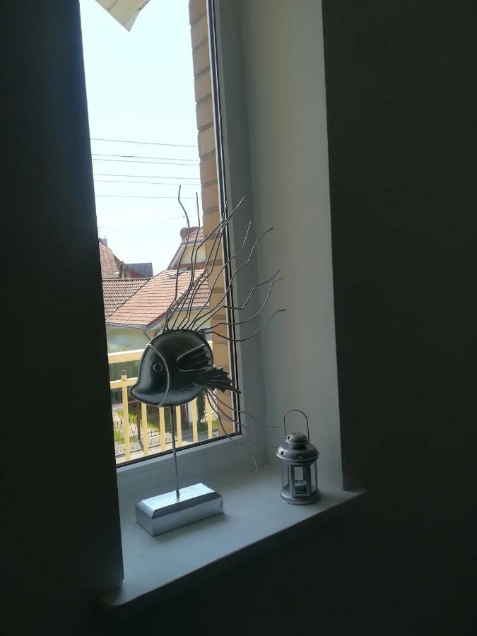 Goscinne Kamako * Dzwirzyno