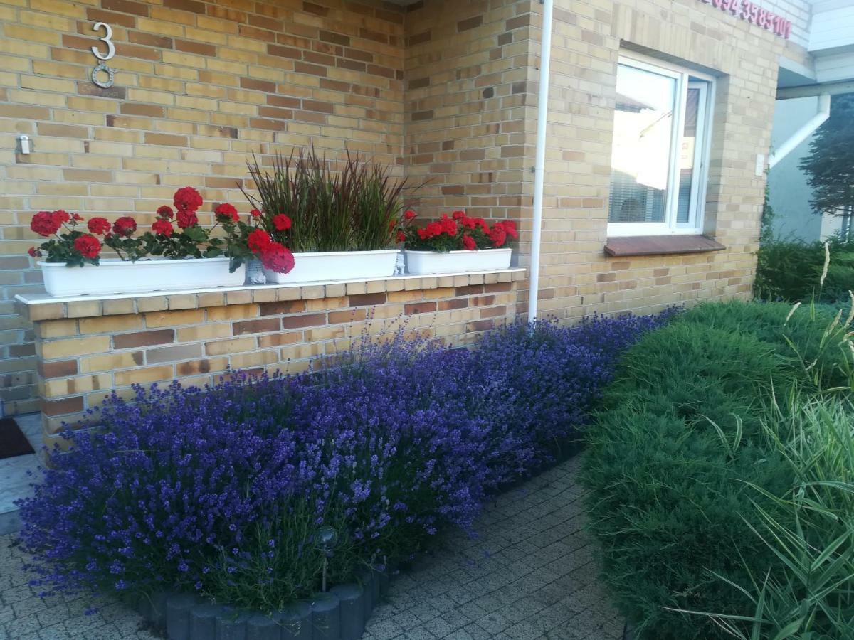 Homestay Goscinne Kamako Dzwirzyno